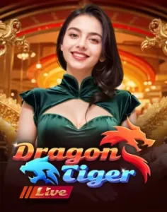 5DJL live poker and baccarat experience
